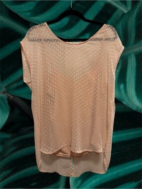 Daniel Rainn Blush Pink Dot Mesh Short Sleeve Blouse